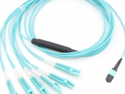 Fiber Ƒe Kpɔɖeŋu ƒe Kpɔɖeŋu le Nuɖuɖuɖuwo Ŋu