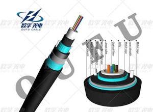 Gyxtw53 2-24 DJDA akpɔ aʋawɔnu nɔnɔme nɛ
